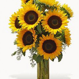 Sunflowers 9 pcs