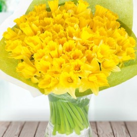 Daffodils (select number)