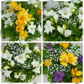 Bouquet of Latvian freesias (only in Riga)