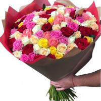 101 multicolored rose 50 cm