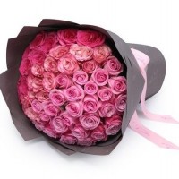 51 rozā roze iepakojumā 50 cm