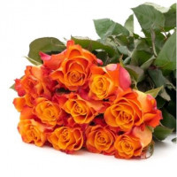 Orange roses 50 cm (variable quantity of flowers)