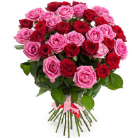 Sarkanas un rozā rozes 50 cm