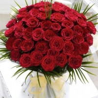 Rose bouquet Passionate love (51 rose)
