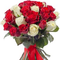 Sarkanas un baltas rozes 40 cm (maināms ziedu daudzums)