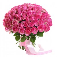 101 rozā roze 50 cm