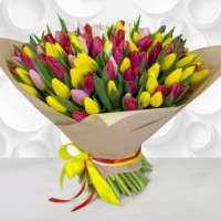 101 tulip in craft paper