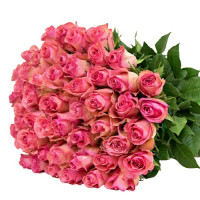 Rozā rozes 50 cm (izvēlies rožu daudzumu)