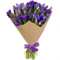 29 Irises